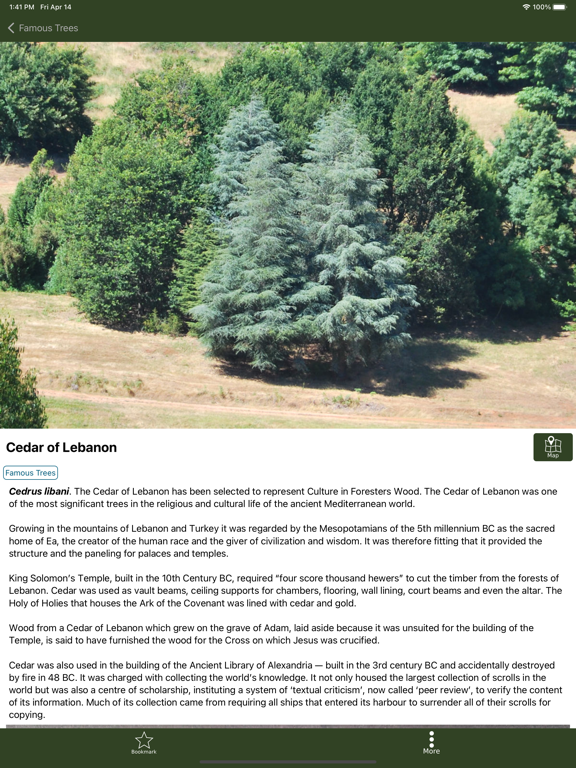 Foresters Wood screenshot 5