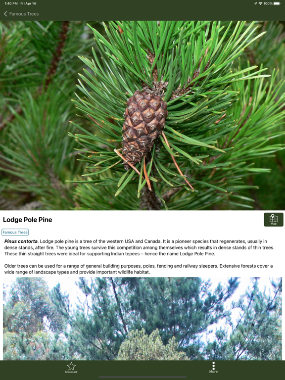 Foresters Wood screenshot 1
