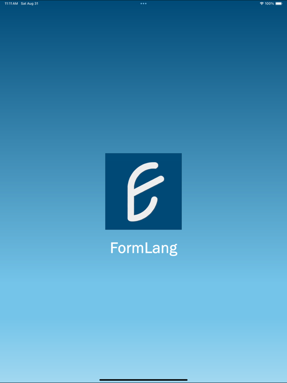 FormLang screenshot 10