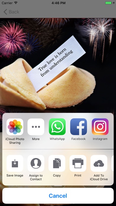 Fortune Cookies - Good Advice screenshot 3
