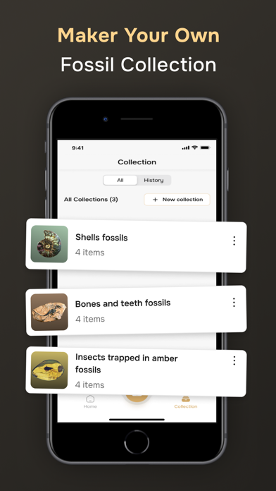 Fossil Identifier screenshot 2