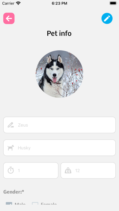Four Paws Grooming screenshot 2