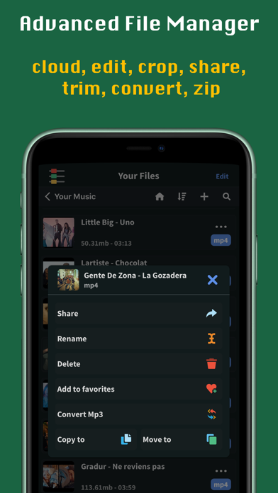 FoxFM - Offline Video Player screenshot 1