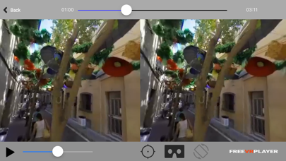 Fr33VRPlayer screenshot 1