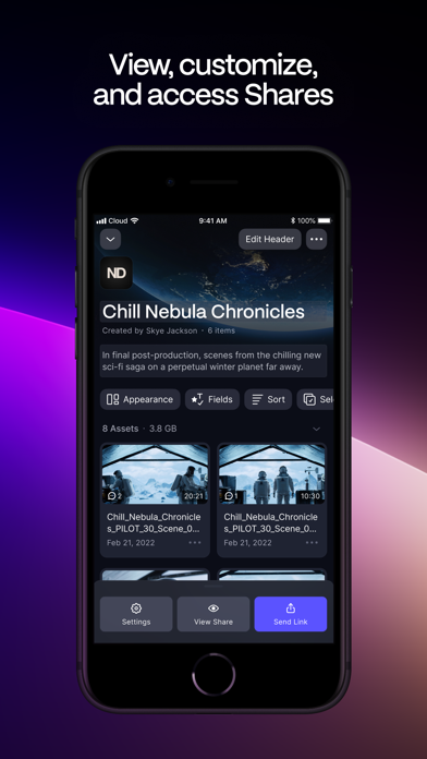 Frame.io screenshot 1