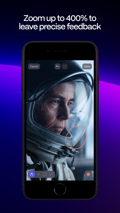 Frame.io screenshot 2