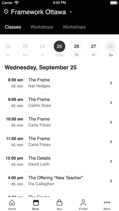 Framework Ottawa screenshot 2