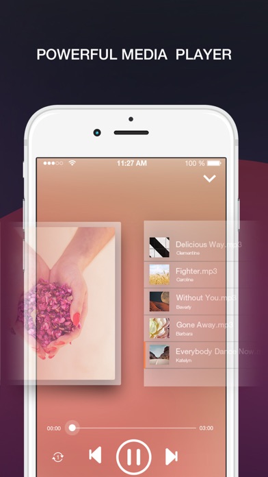 Free Music Online and MP3 Player Manager screenshot 2