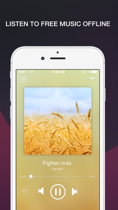Free Music Online and MP3 Player Manager screenshot 5