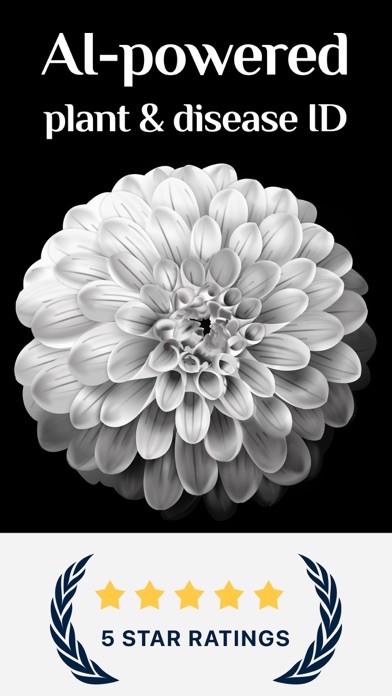 Free Plant Identifier screenshot 3
