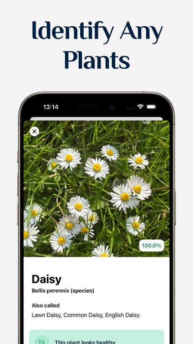 Free Plant Identifier screenshot 2