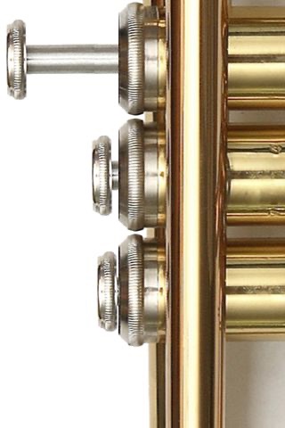 Free Trumpet ♪♫ screenshot 1
