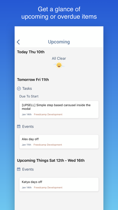 Freedcamp screenshot 4