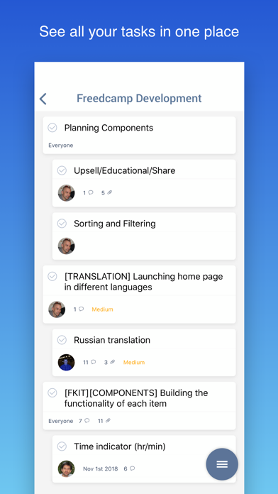 Freedcamp screenshot 2