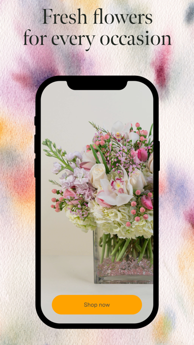 French Florist Flower Delivery screenshot 3