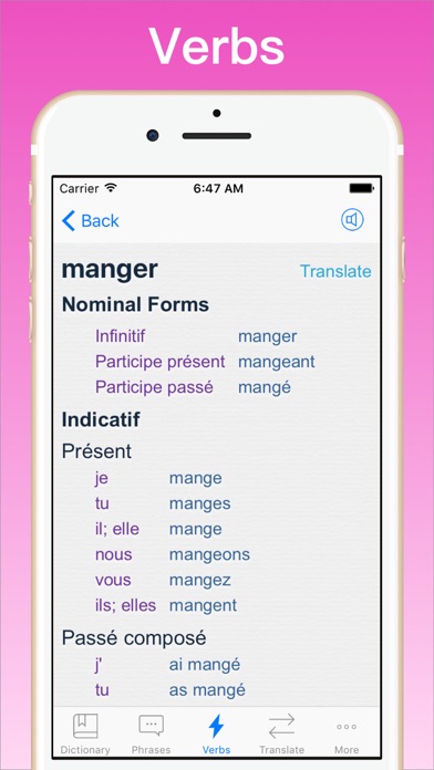 French Translator Dictionary + screenshot 3