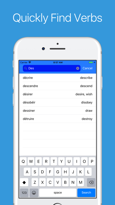 French Verb Conjugator Pro screenshot 1