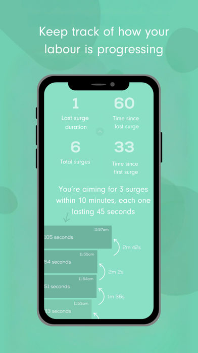 Freya • Surge Timer screenshot 4