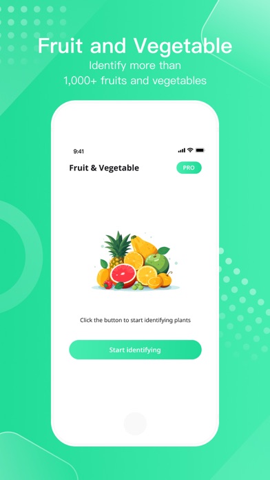 FruitVegetableSnap -Identifier screenshot 6