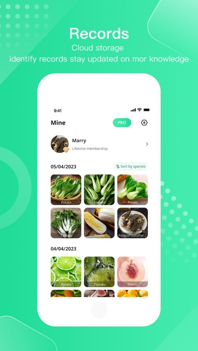 FruitVegetableSnap -Identifier screenshot 2