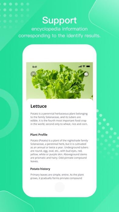 FruitVegetableSnap -Identifier screenshot 3