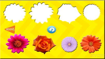 Fun Learning Flower Shapes Sorting game for kids screenshot 2