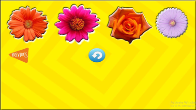 Fun Learning Flower Shapes Sorting game for kids screenshot 1