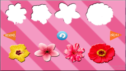 Fun Learning Flower Shapes Sorting game for kids screenshot 4