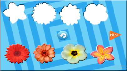 Fun Learning Flower Shapes Sorting game for kids screenshot 5