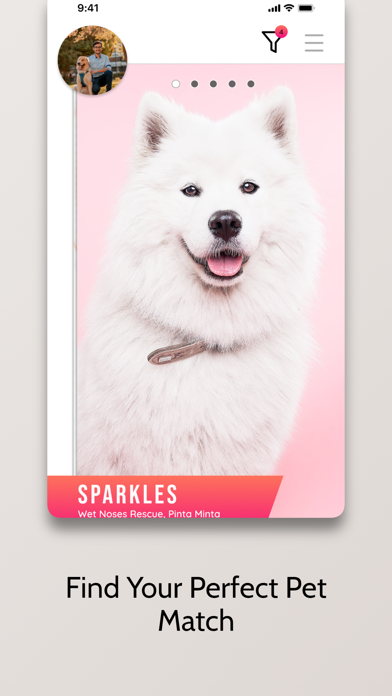 Furever Friends - Pet Adoption screenshot 3