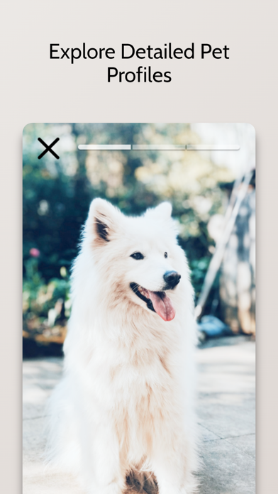 Furever Friends - Pet Adoption screenshot 2