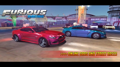 Furious Hobbis & Shawn screenshot 2