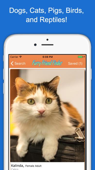 Furry Friend Finder Pet Rescue screenshot 4