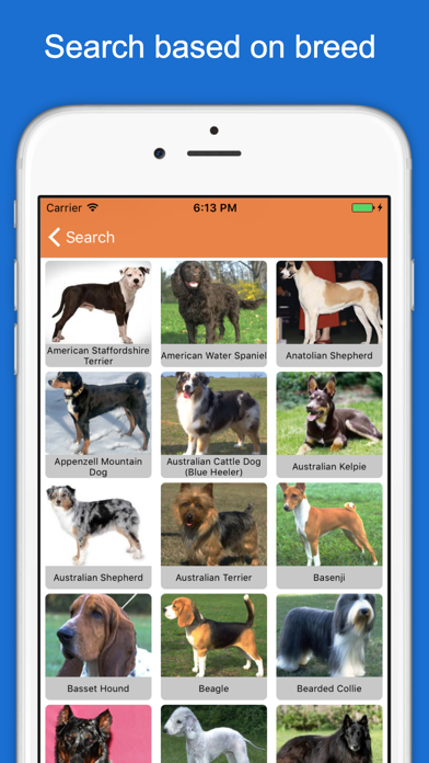 Furry Friend Finder Pet Rescue screenshot 1