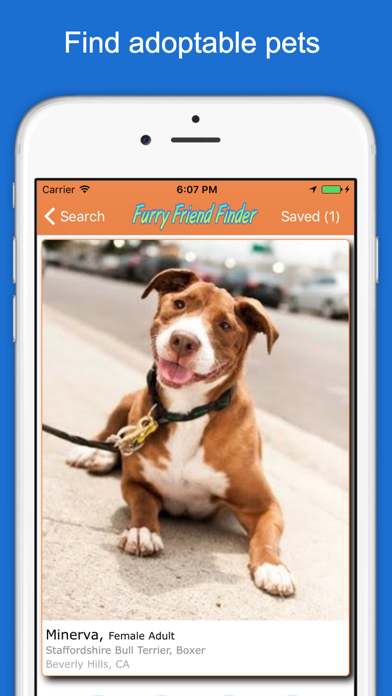 Furry Friend Finder Pet Rescue screenshot 5
