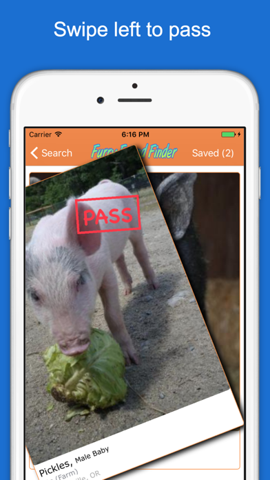 Furry Friend Finder Pet Rescue screenshot 2