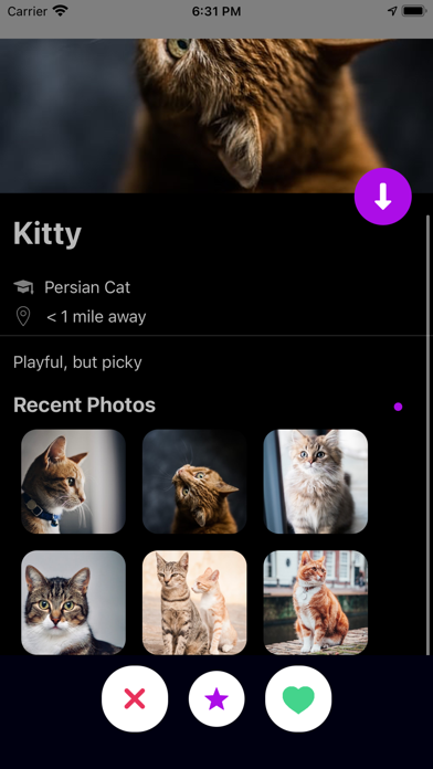 Furry Play screenshot 3