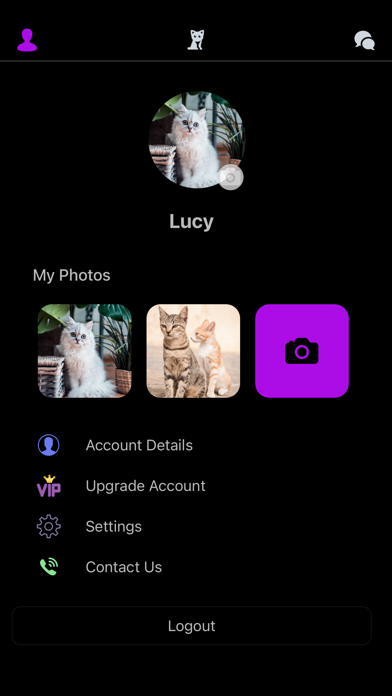 Furry Play screenshot 2