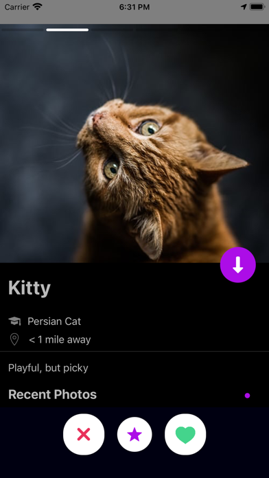 Furry Play screenshot 4