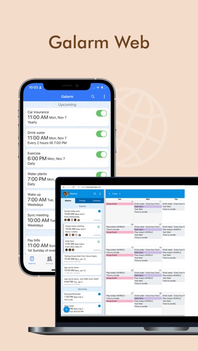 Galarm - Alarms and Reminders screenshot 1