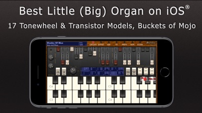 Galileo Organ 2 screenshot 5