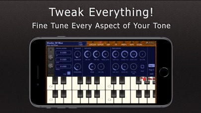 Galileo Organ 2 screenshot 4
