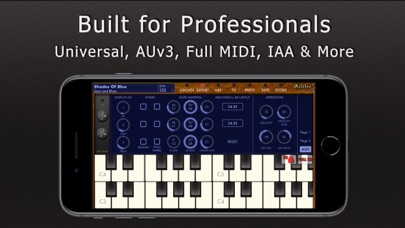 Galileo Organ 2 screenshot 1