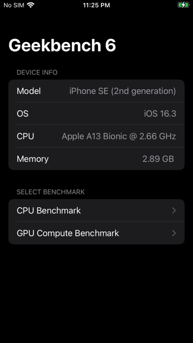 Geekbench 6 screenshot 4