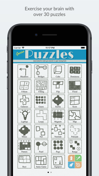 Genius Puzzles screenshot 3