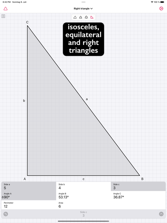 Geometry Calculator - Triangle screenshot 3