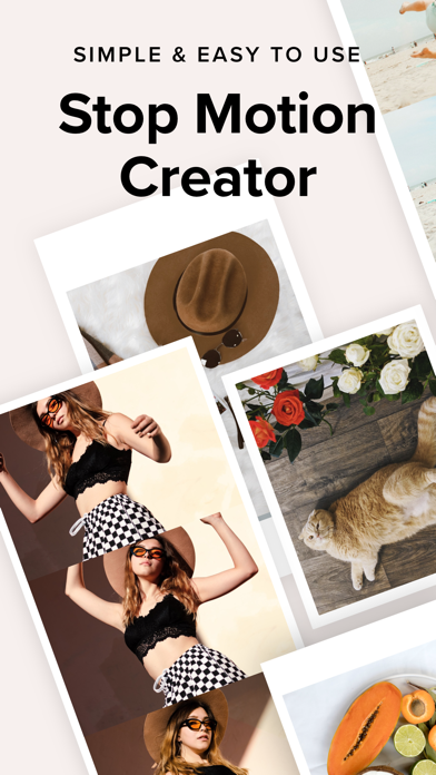 GIF Maker by Momento screenshot 2