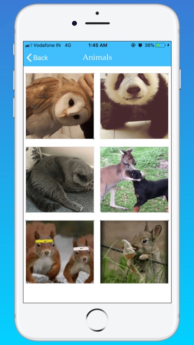 GIF Master - Funny GIF Search screenshot 4