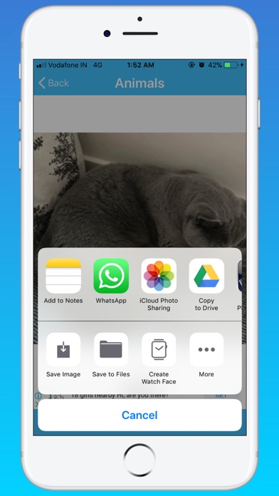 GIF Master - Funny GIF Search screenshot 2