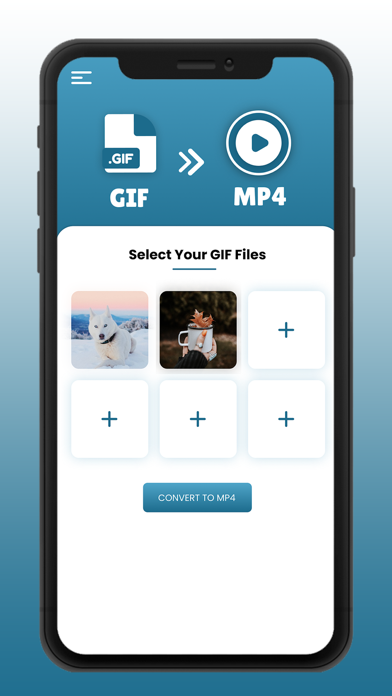 GIF to Mp4 screenshot 2